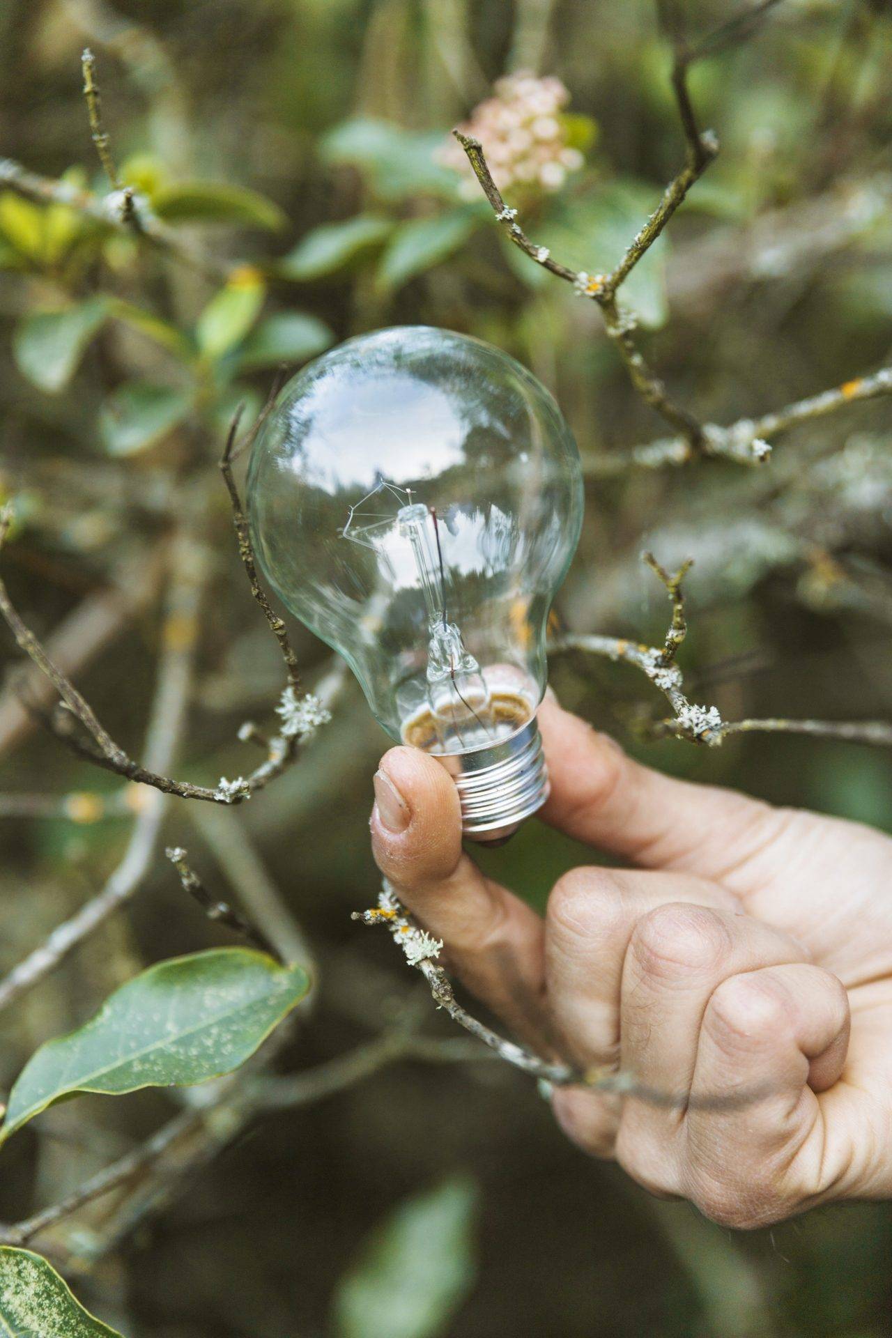 glass-bulb-fingers-summer-nature (1)